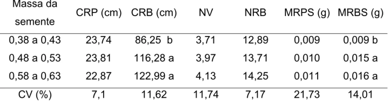 Tabela 2. Comprimento de raiz primária (CRP), comprimento de raiz basal  (CRB), número de verticilos (NV), número de raízes basais (NRB) e  massa de raiz primária seca (MRPS) e massa de raiz basal seca  (MRBS) de sementes de feijão cultivar ‘Carnaval MG’ c