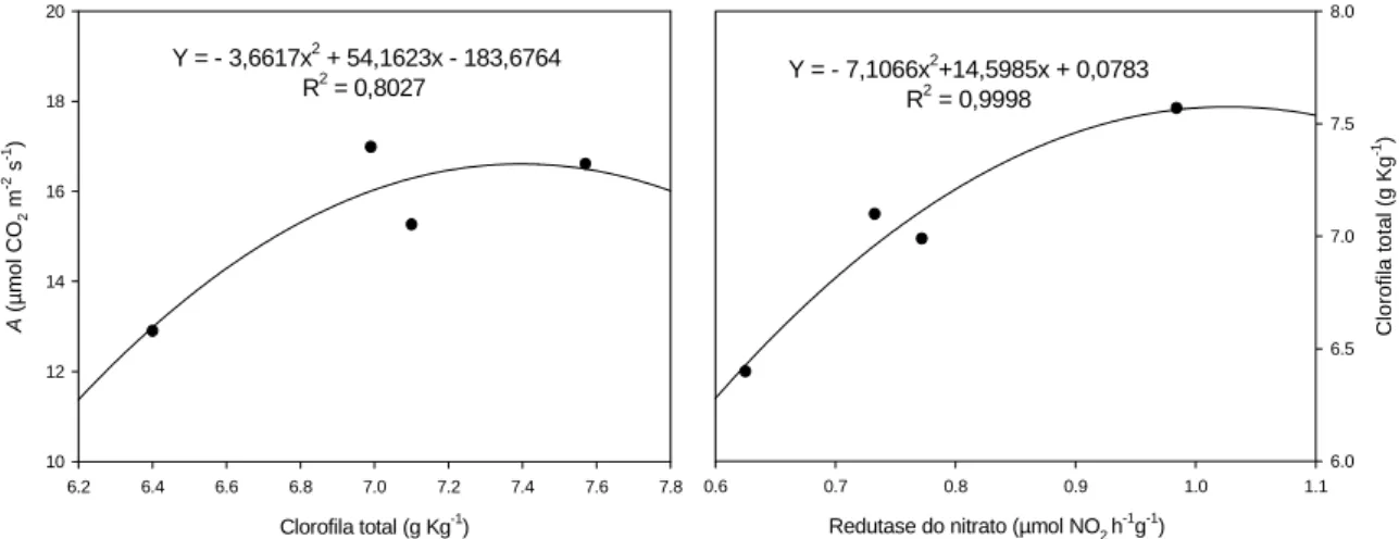 Figura 14. Regressão entre fotossíntese líquida (A) e clorofila total, atividade da redutase do 