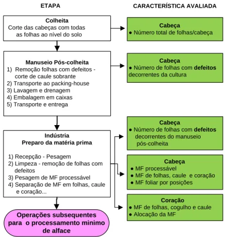 Figura 3. Fluxograma de operações e características avaliadas na colheita, manuseio pós- pós-colheita e o preparo da matéria prima na Indústria