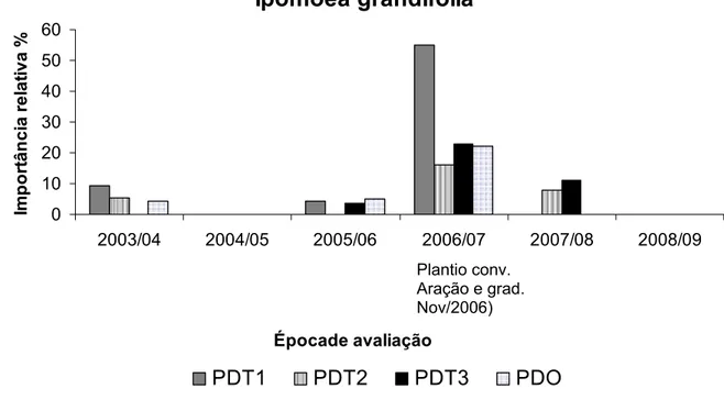 Figura 8: Importância relativa da espécie  Ipomoea grandifolia  nos sistemas PDT1 (sem  adubação com herbicida); PDT2 (com adubação mineral e com herbicida); PDT3  (adubado com composto orgânico e com herbicida); e PDO (adubado com composto  orgânico e roç