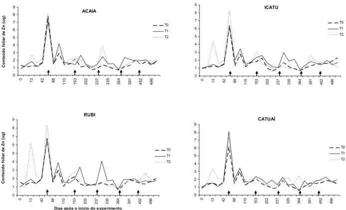 Figura 3. Conteúdo foliar de Zn ( g) de cafeeiros, ao longo do período  experimental, dos tratamentos sem fornecimento de Zn (T0), pulverização foliar  de ZnSO 4  a 0,4% (T1) e combinação de sais 1 - com 1,80g de sais de Zn (T2)  nas quatro variedades estu