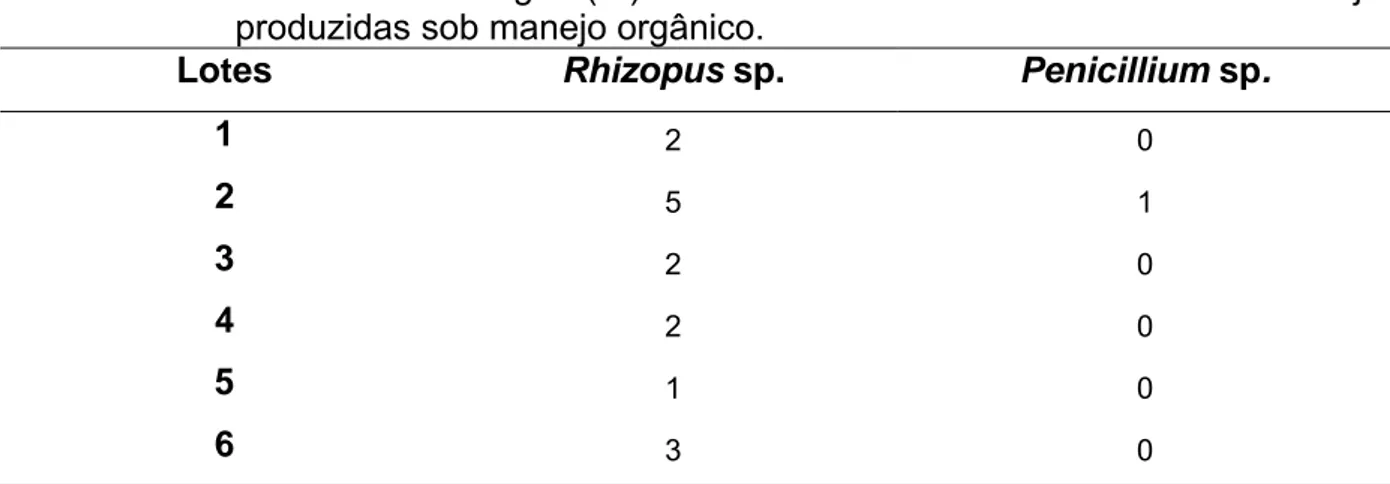 Tabela 1.  Incidência de fungos (%) em seis lotes de sementes de tomate cereja  produzidas sob manejo orgânico