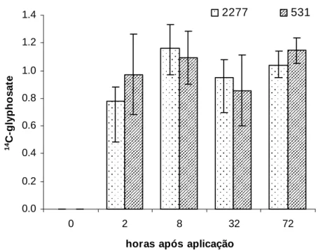 Figura 5 – Porcentagem de  14 C-glyphosate presente na solução nutritiva, em relação ao  total aplicado em dois clones de eucalipto (531 e 2277)