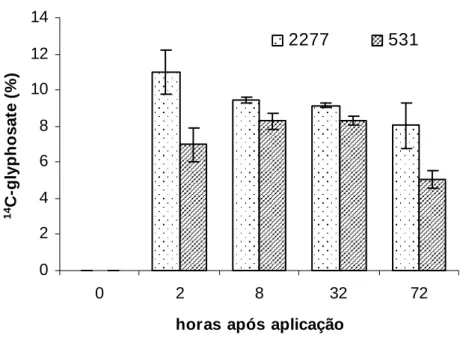Figura 6 – Quantidade de  14 C-glyphosate na planta em porcentagem do total aplicado  em dois clones de eucalipto (531 e 2277)