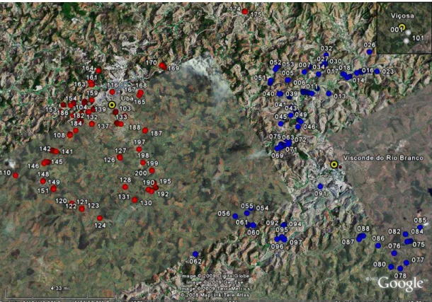 Figura 1 – Localidades  amostradas  na  Zona da Mata mineira – MG/Brasil.  Círculos azuis: acessos coletados em Visconde do Rio Branco e  círculos vermelhos: acessos coletados em Ubá