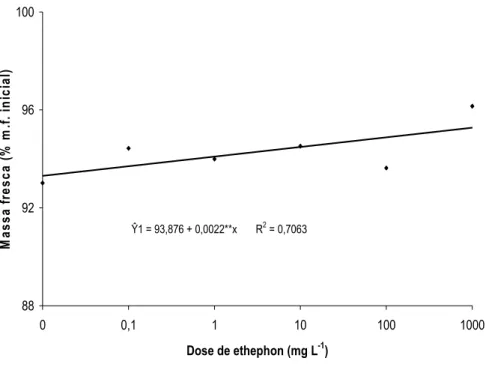 Figura 13. Massa fresca (% massa fresca inicial) de inflorescências de  Heliconia bihai tratadas com 0; 0,1; 1; 10; 100 e 1.000 mg L -1  de  ethephon