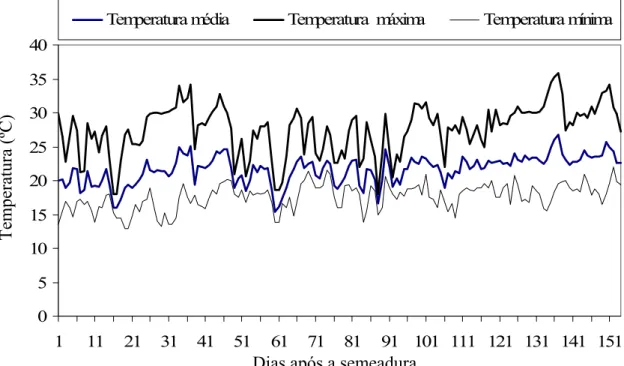 Figura 1 - Temperaturas ocorridas no viveiro durante o período entre semeadura e  avaliação das mudas de cafeeiro