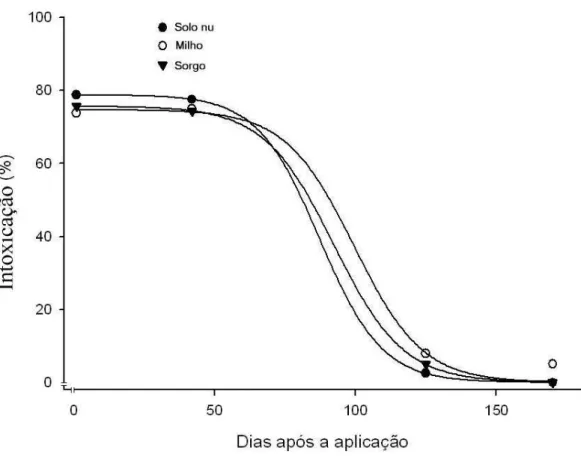 Figura 3 – Porcentagem de intoxicação em função dos dias após a aplicação, em                       plantas  de  pepino  (Cucumis sativus), cultivadas em solos tratados                       com picloram + 2,4-D