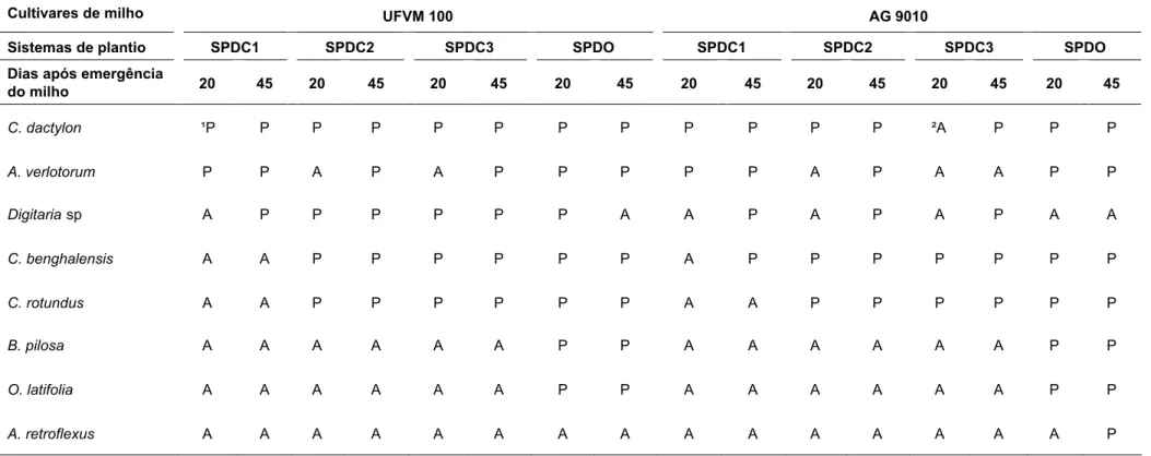 Tabela 2 – Ocorrência de plantas daninhas na cultura do milho nos sistemas de plantio direto convencional e orgânico, em duas épocas de avaliação
