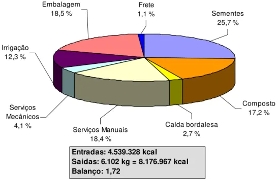 Figura 8 – Participação relativa dos componentes nos custos calóricos da  produção de 1 ha de alho no sistema orgânico
