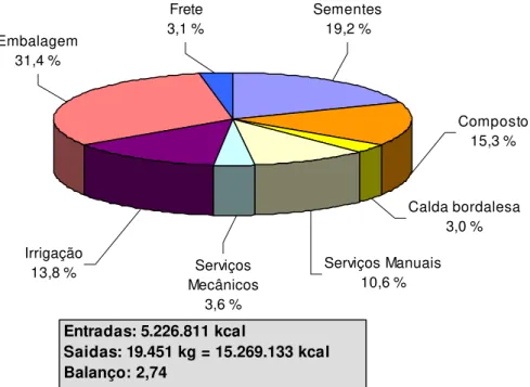 Figura 13 – Participação relativa dos componentes nos custos calóricos da  produção de 1 ha de batata no sistema orgânico