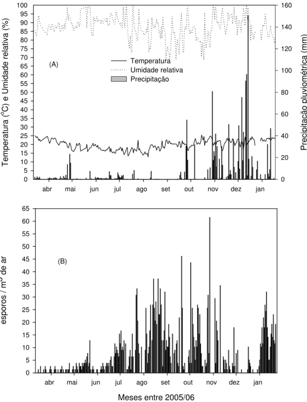 Figura 5 – Precipitação pluviométrica total, temperatura média diária e umidade relativa  média diária (A) e úmeros de esporos de Alternaria solani capturados com  armadilha tipo rotorod entre março/janeiro de 2005/06