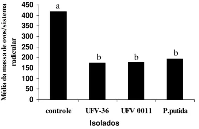 Figura 4 – Número massa de ovos em raízes de tomateiro inoculado com três isolados  bacterianos visando o controle de Meloidogyne javanica, aos 45 dias após a  infestação do solo com 2000 ovos do patógeno