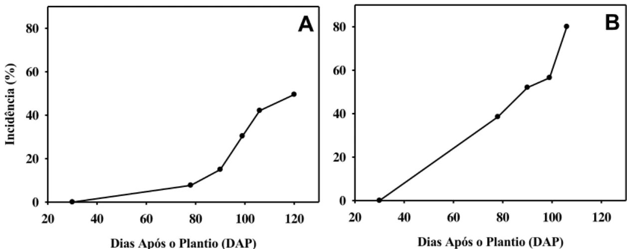 Figura 1: Curva de progresso do vermelhão do morangueiro nas áreas I (A) e II (B). 