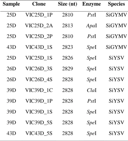 Table 1. Clones generated in this work. 