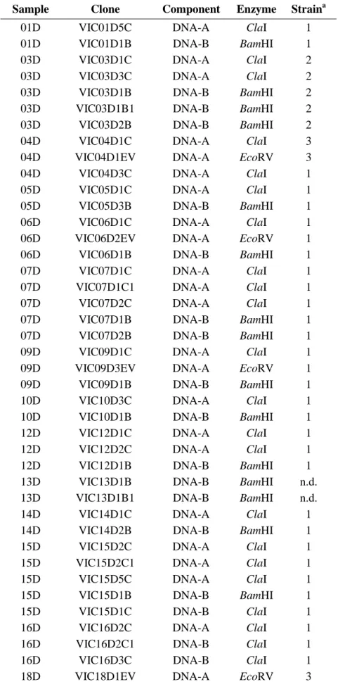 Table  1.  Origin  and  strain  classification  of  the  Sida  acuta  mosaic  virus  (SAMV)  clones 