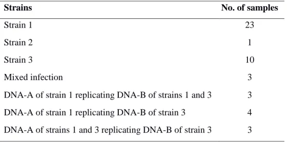 Table 5. Number of samples within each Sida acuta mosaic virus (SAMV) strain in single 