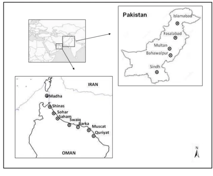 Fig 2. Map of Oman and Pakistan showing geographic distribution of  sites where  Ceratocystis 11 