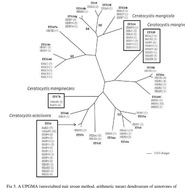 Fig 5. A UPGMA (unweighted pair group method, arithmetic mean) dendrogram of genotypes of 2 