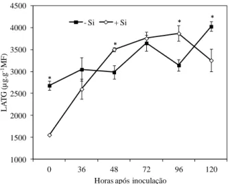 Figura  2  -  Concentração  dos  derivados  da  lignina-ácido  tioglicólico  (LATG)  em  folhas de feijoeiro crescido em solução nutritiva com 0 (-Si) ou 2 mmol  de  silício  L -1   (+Si)  em  diferentes  intervalos  após  a  inoculação  com  Colletotrichu