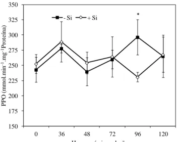 Figura 4 - Atividade de polifenoloxidases (PPO) em folhas de feijoeiro crescido em  solução  nutritiva  com  0  (-Si)  ou  2  mmol  silício  L -1   (+Si)  em  diferentes  intervalos  após  a  inoculação  com  Colletotrichum  lindemuthianum