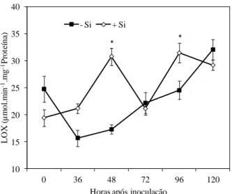 Figura  8  -  Atividade  de  lipoxigenases  (LOX)  em  folhas  de  feijoeiro  crescido  em  solução  nutritiva  com  0  (-Si)  ou  2  mmol  silício  L -1   (+Si)  em  diferentes  intervalos  após  a  inoculação  com  Colletotrichum  lindemuthianum