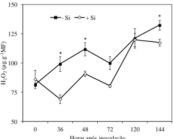 Figura 3  - Concentração  de peróxido de hidrogênio (H 2 O 2 ) em folhas de plantas de  feijoeiro crescidas em solução nutritiva contendo 0 (-Si) e 2 mMol (+Si) de  silício (Si) e inoculadas com Colletotrichum lindemuthianum
