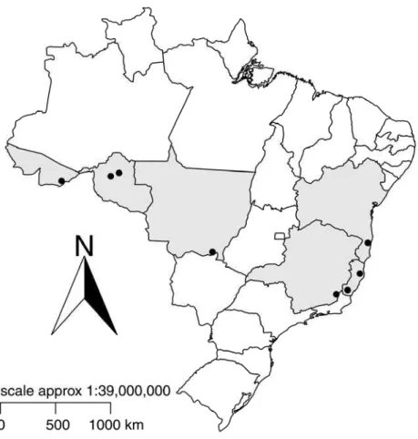 Figure 01. Hora Júnior et al 