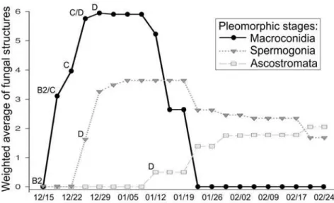 Figure 05. Hora Júnior et al 