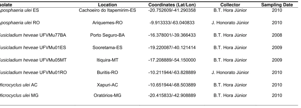 Table 01. Origin of the  Microcyclus ulei isolates. 