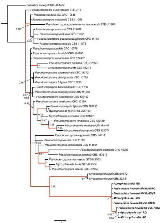 Figure S4. The 50% majority rule tree of 375,000 trees obtained from a 