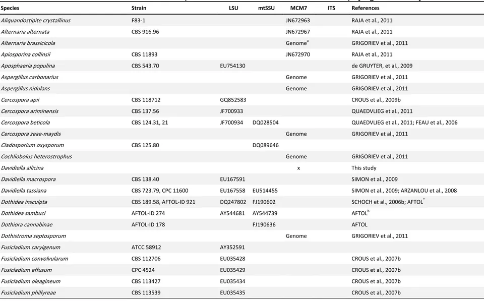 Table S1. GenBank accession numbers of sequences derived from strains used in the phylogenetic analysis 