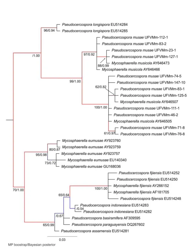 Figure  4. The  50%  majority  rule  tree  of  75,000  trees  from  Bayesian  phylogeny  based  on  the 