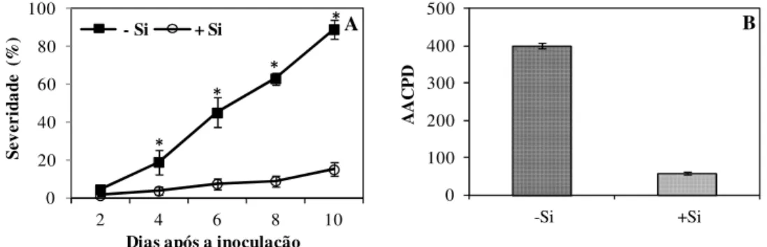 Figura 1. Progresso da severidade da  antracnose (A) e área abaixo da curva do  progresso  da  antracnose  (AACPA)  (B)  nas  folhas  de  plantas  de  sorgo  crescidas  em  solução  nutritiva  na  ausência  (-Si)  ou  presença  (+Si)  de  silício  (Si)