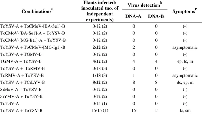 Table 2. Infectivity of pseudo-recombinants formed among ToYSV and begomoviruses   from tomato and Sida sp