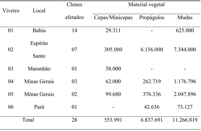 Tabela 2 - Clones afetados, perdas de minicepas, propágulos vegetativos e de mudas  clonais de eucalipto em conseqüência da incidência de Ralstonia  solanacearum em diferentes regiões do Brasil 