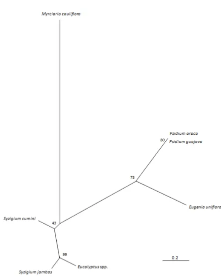 Figure 3. Neighbor joining tree of the multilocus microsatellite genotypes showing the  relationship between Puccinia psidii isolates from seven hosts