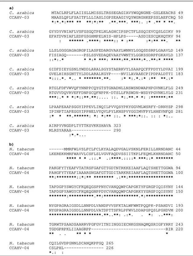 Figura 4. Alinhamento pelo programa ClustalW2 das sequências deduzidas de  aminoácidos do produto da tradução dos possíveis genes de  Coffea arabica 