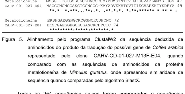 Figura 5. Alinhamento pelo programa ClustalW2 da sequência deduzida de  aminoácidos do produto da tradução do possível gene de  Coffea arabica