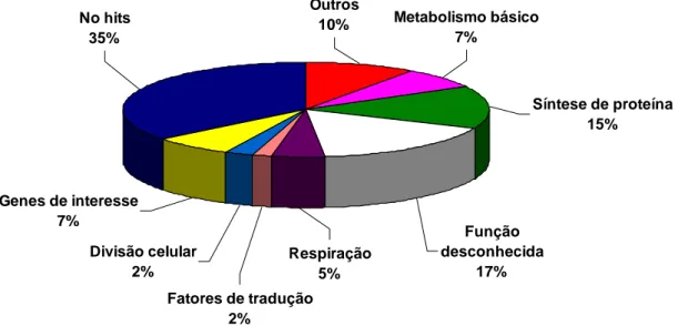 Figura 7. Classificação funcional das sequências únicas referentes a possíveis genes  de  Hemileia vastatrix 