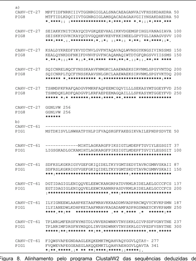 Figura 8. Alinhamento pelo programa ClustalW2 das sequências deduzidas de  aminoácidos do produto da tradução dos genes representados pelos  contigs CAHV-CT-27 (a) e CAHV-CT-61 (b), quando comparadas com as  sequências de aminoácidos das proteínas PIG8 e P