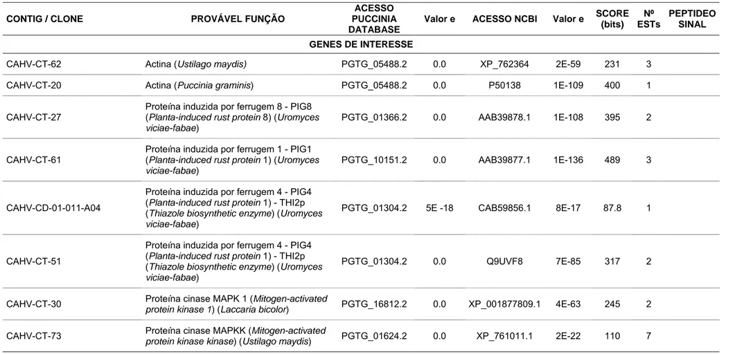 Tabela 2. ESTs identificados na biblioteca de cDNA da interação cafeeiro – Hemileia vastatrix que apresentam similaridades a  sequências de fungos