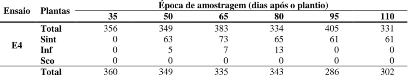 Tabela  3.  Total  de  plantas  amostradas,  número  de  plantas  com  sintomas de  infecção  por  begomovirus  (Sint),  número  de  plantas  infectadas  segundo  detecção  molecular  (Inf)  e  número  de  plantas  em  que  a  detecção  por  sintomas  coin