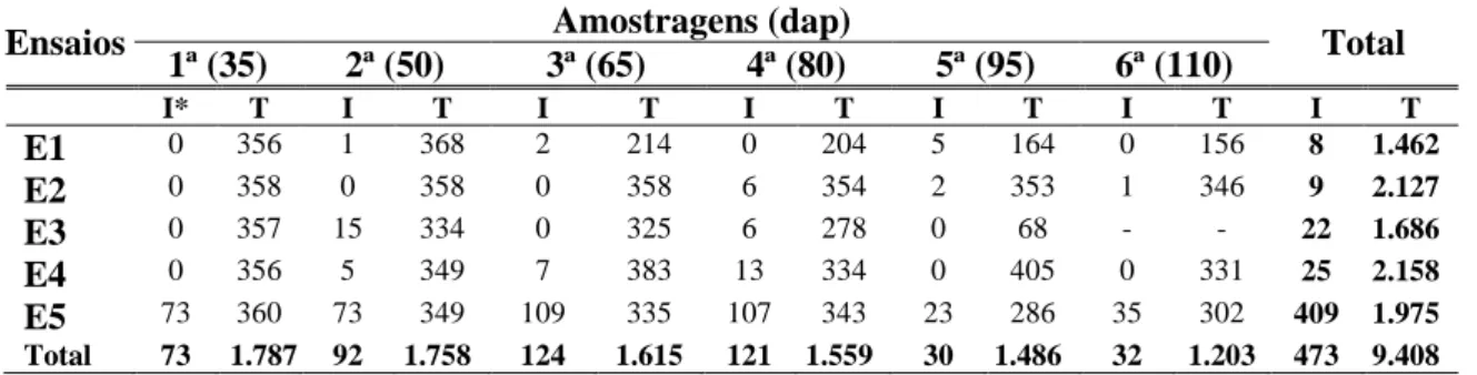 Tabela  5.  Quadrados  médios  da  análise  de  variância  obtidos  no  ensaio  5  em  seis  avaliações  de  plantas  sintomáticas  em  duas  cultivares  conduzidas  em  três  sistemas  de  manejo na cultura do tomateiro em Florestal, MG em 2007