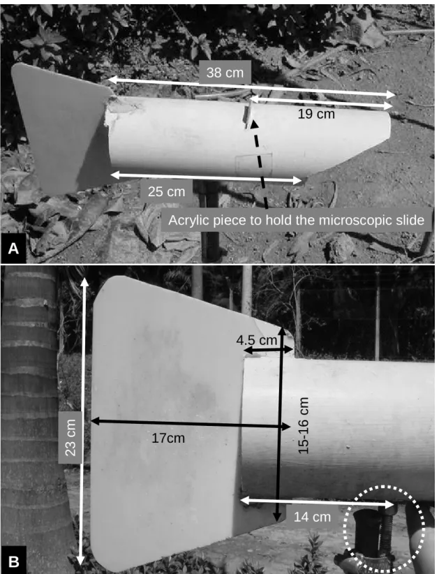 Fig. 1. Wind vane spore trap: A – General view and dimensions; and B – Detail of the  dimensions of the vane at the posterior end