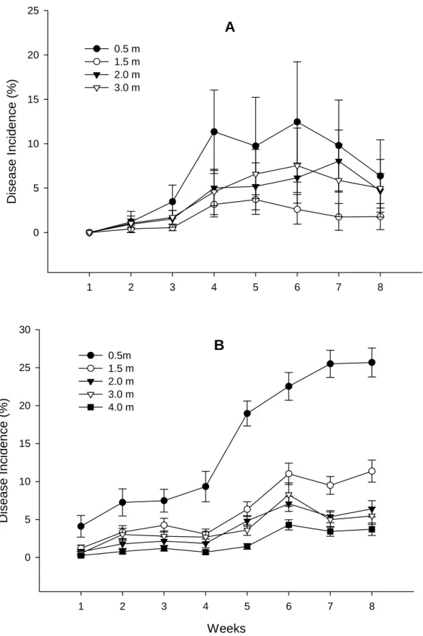 Fig. 2. Rust progress (Puccinia psidii) on plants of Eucalyptus cloeziana (A) and E. 