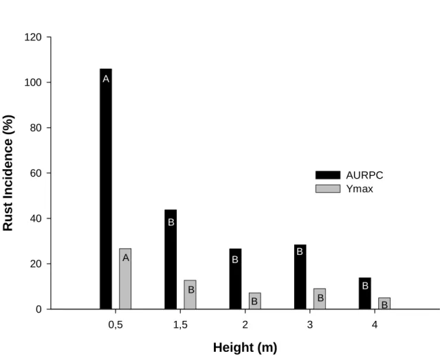 Fig. 4. Relation between height and rust intensity, expressed by the mean values of  AURPC and Ymax on Eucalyptus grandis