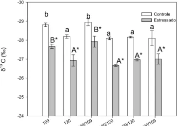 FIG. 3. Efeitos do déficit hídrico na composição isotópica de carbono foliar  ( δ 13 C) de pés-franco e enxertias de Coffea canephora