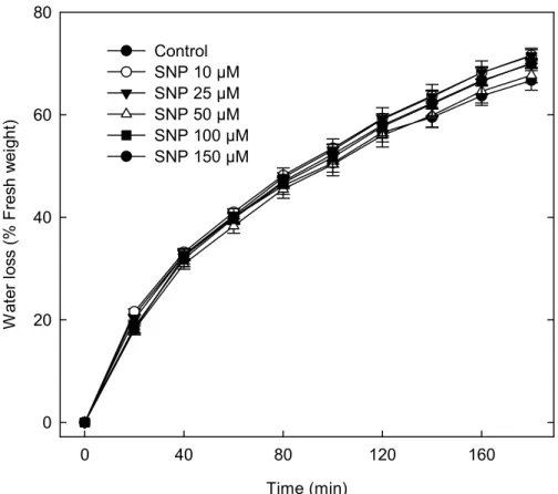 Figure 4 - SNP does not reduce water loss produced by water stress.  Leaves at the same developmental stage and size from 4-week-old plants  (Col-0) were floated in MES-KCl buffer to induced stomatal apertures