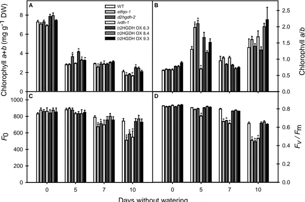 Figure  7.  Total chlorophyll content (A), chlorophyll a/b  ratio (B), initial 